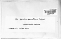Image Associated With the Occurence